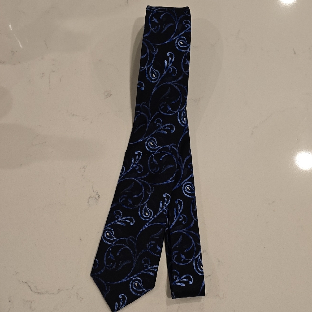 Elegant Black and Blue Paisley Tie